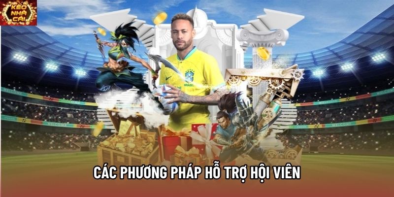 Các phương pháp hỗ trợ hội viên