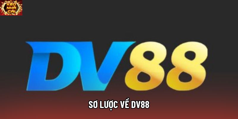 Sơ lược về DV88